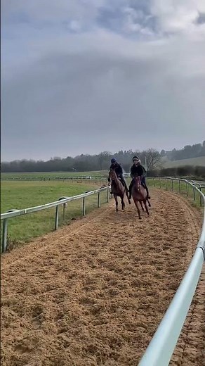 Subscribe the channel