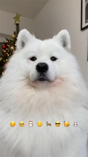 ElitePad on Instagram