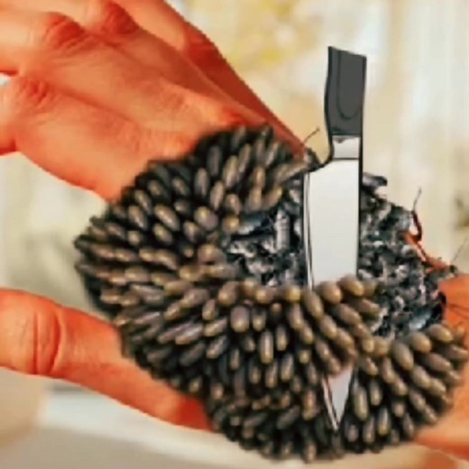 18K views · 125 reactions | ASMR Hand Relaxation 﫱 | Gentle Brushing & Whisper Tingles for Sleep. #asmr #asmrvideo #animationvideo #animation #viralvideo | Blue ASMR Z9 | Facebook