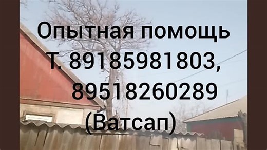 InShot_20240706_193738787.mp4