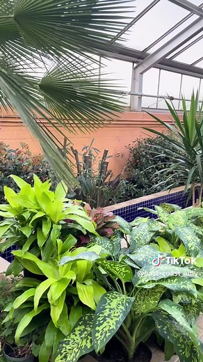 Explore the Rawlings Conservatory in Baltimore