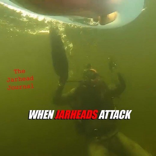 123K views · 1.8K reactions | ...all in a days work | The Jarhead Journal | Facebook