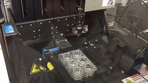 A Nature Materials paper shows extrusion-based bioprinting can rapidly and reproducibly generate kidney organoids from a cell-only paste. Read the paper: https://go.nature.com/3779dPA | Nature Portfolio