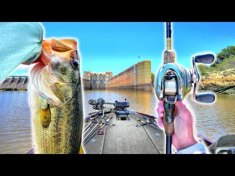 Fishing A LOCAL Springtime Bass TOURNAMENT (Giant Caught)