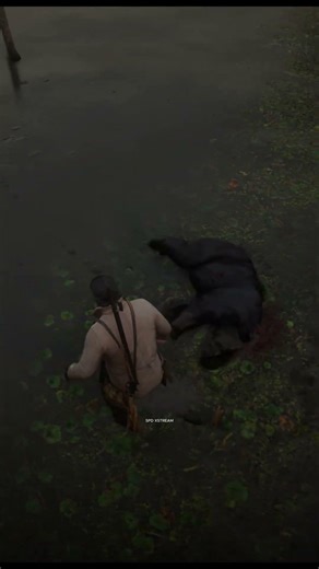 American Black Bear Location Rdr2 #shorts #spdxstreamgaming #rdr2