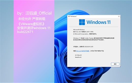 《VMware虚拟机》安装并测评windows 11 build22471