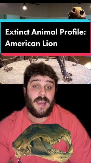 The Extinction of the American Lion Explained