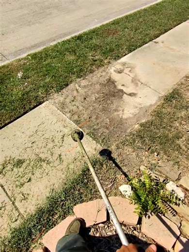 POV of your daily edging #edging #pov #lawncare #lawntok #sthil | Modernized Mowing