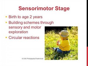 Cognitive Development first 2 years