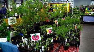 32nd spring herb festival boasts 65 vendors at WNC Ag Center