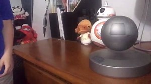 2.3K views · 13 reactions | In honor of May the 4th, Elias and I did...