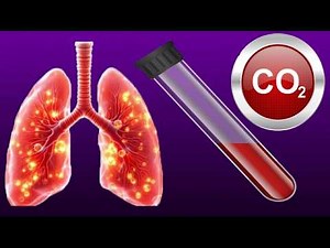 Carbon Dioxide(CO2) Blood Test: Purpose Procedure And Results