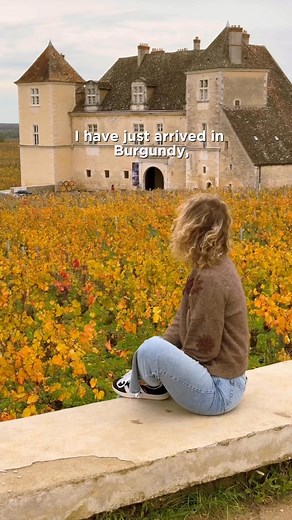 2.3K views · 247 reactions | Burgundy in autumn 李 Our Explore France Insider Sarah went to explore this region of eastern France to discover the autumn colors on the vines, as well as the many villages full of charm and character like Beaune, Meursault, Pommard...  Above all, she found that Burgundy is a land of gastronomy, wine, and passionate producers, proud to share their expertise.  #ExploreFrance | Explore France | Facebook