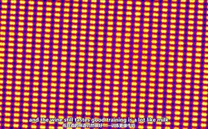 如何充分学习电子显微镜~How to get the most out of electron microscope training （双语翻译）