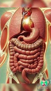 How Your Body Digests Cold Drinks 🍹 |3D AI Animation #medicalanimation #humanbody #3danimation #usa