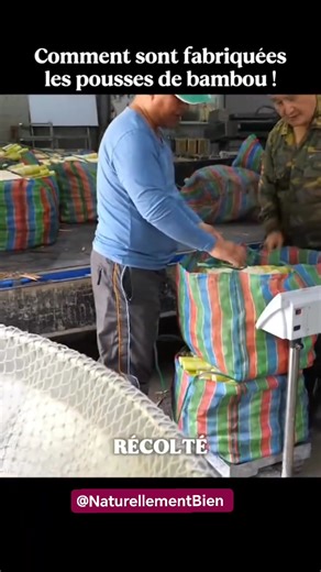 🎋 Comment sont fabriquées les pousses de bambou ! Un processus naturel, minutieux et fascinant 🌱 Chaque étape est réalisée avec soin pour préserver leur fraîcheur, leur goût et tous leurs bienfaits. Regarde bien jusqu’à la fin… tu vas être surpris par la précision du travail ! 😍 #bambou #alimentation #nature #usine #fyp #pourtoi | Naturellement Bien