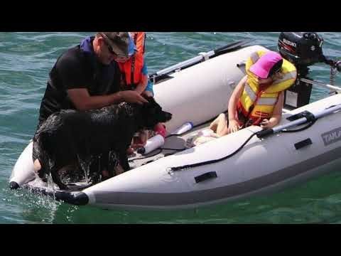 TAKACAT 380EL Iinflatable Catamaran Tender Dingy Fishing Diving SCUBA Boat