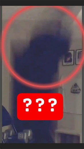 WHAT FLEW OUT OF MY HALLWAY?