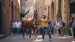 Parti anche tu per il #GoogleGrandTour d’Italia con Google: scopri ciò che la rende unica con l’aiuto della nostra tecnologia. | Google