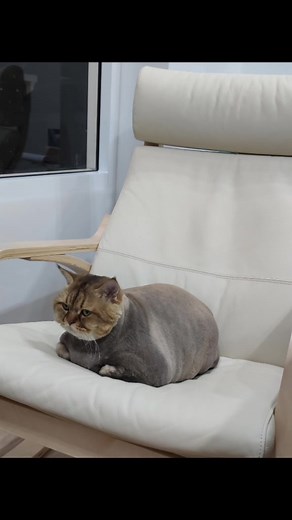 Understanding Captioning Techniques for Video Content