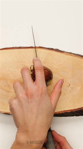 18K views · 76 reactions | Turn Food Waste into Garden Magic | 5-Minute Crafts Play | Facebook