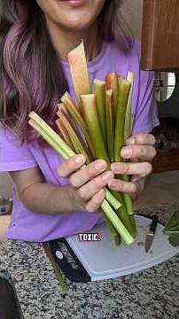 rhubarb! I feel like this is an underrated perennial nowadays. do you grow it? #mybackyardgarden