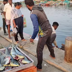 21K views · 195 reactions | Deep Sea Caught Monster Sharks fish & Big Sailfish in longline fishing | Kadal mariyan- fishing | Facebook