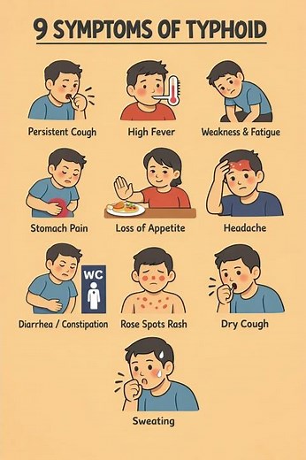 9 Warning Signs of Typhoid Fever You Should Never Ignore ⚠️