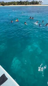 Icacos, Culebra, and Vieques are must-see destinations. East Island Excursions is the top-rated company for catamaran tours to all three. Visiting Puerto Rico this summer? Make sure to book your excursion with us! #30YearsOfMagicMoments | East Island Excursions | Facebook