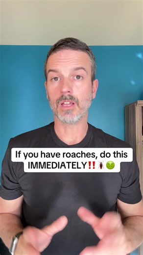 Common Mistakes in Roach Control and Effective Solutions