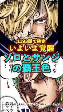 【ワンピース】1193話で確定！ゾロとサンジの覇王色の覇気覚醒！ #ワンピース #onepiece #考察