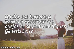 Explicación Génesis 37:12. 'Un día, sus hermanos fueron a apacentar las ovejas de su padre en Siquem.' - BibliaBendita