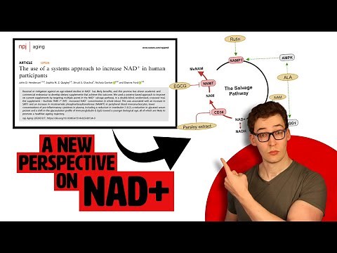 A Perspective Changing NAD+ Supplement? Nuchido Time+