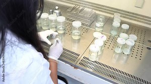 Scientist in lab,conducting experiments,analyzing results,developing industrial solutions,advancing research,contributing to scientific progress