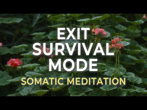 Release the State of Emergency | Nervous System Reset for Chronic Stress