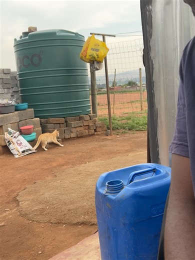 Kat Matlala: A Heartfelt Moment