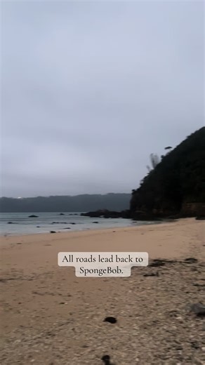 Oh brother, this guy stinks! #spongebob #popculture #tv #reference #lifetips