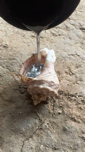 Casting snail shell from recycled aluminum #restoration #recycling #shorts