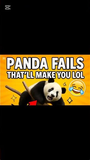Hilarious Panda Fails 🐼 | Funniest Panda Moments That Will Make You LOL