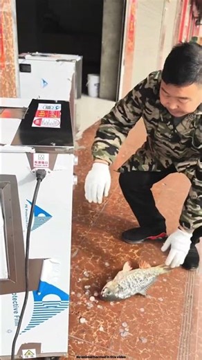 The Japanese Fish Cleaning Machine 😮