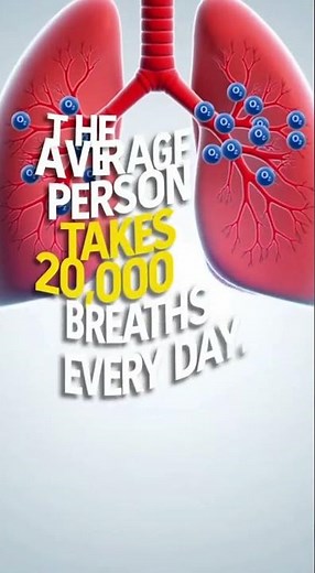 Incredible lungs facts #facts #factcifix