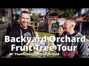 Backyard Fruit Tree Orchard TOUR! 🍎🍊🌳Example of Backyard Orchard Culture w/ TheHomeGroneFarmstead