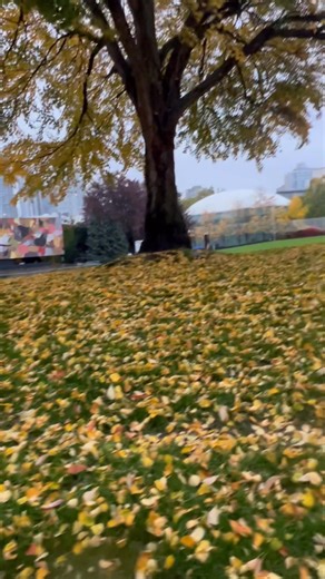 Seattle center rainy days at Fall season 10/24/25 | Zeny Santos