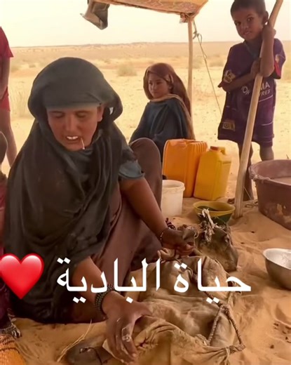 Exploring the Beauty of Mauritania's Desert Life