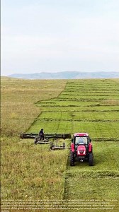 Winter is Coming: The Great Hay Harvest