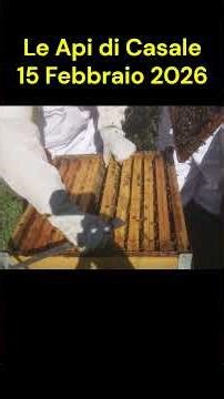 Le Famiglie di Api esplodono !