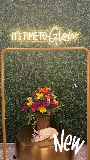 You know what day it is?! FRI-YAY and PAYDAY! Come see us for more great NEW arrivals! 💕💕#launch #comeshop #new #supportlocal | Glow Body Studio