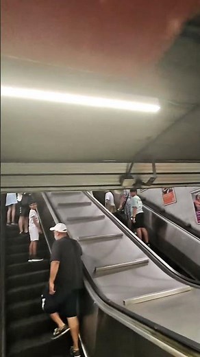 Empty Wallet Was thrown Away in Metro, Rome #stolenwallet #shorts #viral #Pickpockets