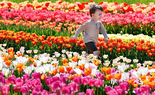 Spring is near. When will it warm up for good in Louisiana? See forecast