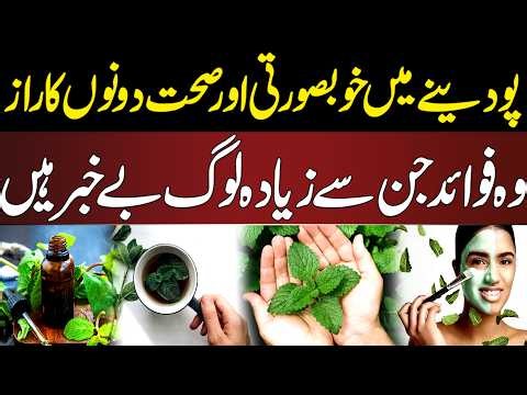Mint Benefits for Beauty & Health | Amazing Benefits Most People Don’t Know | NEWS ONE
